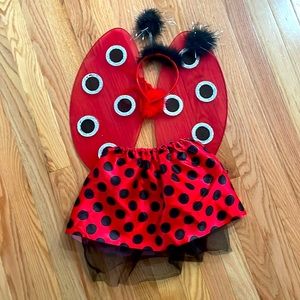 Girls Ladybug Costume